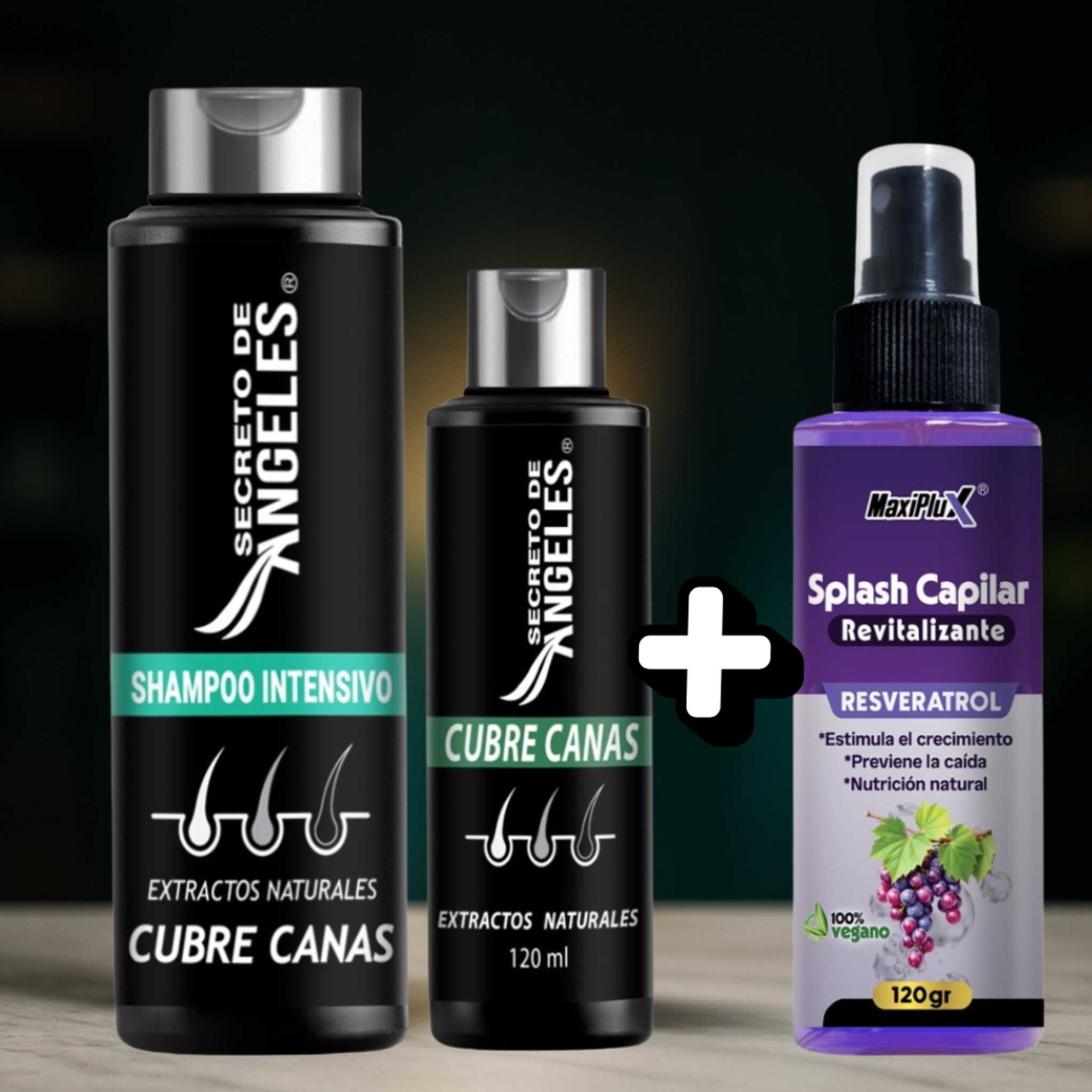 ⭐ Shampoo cubrecanas secreto de angeles -  La rutina diaria que devuelve la confianza