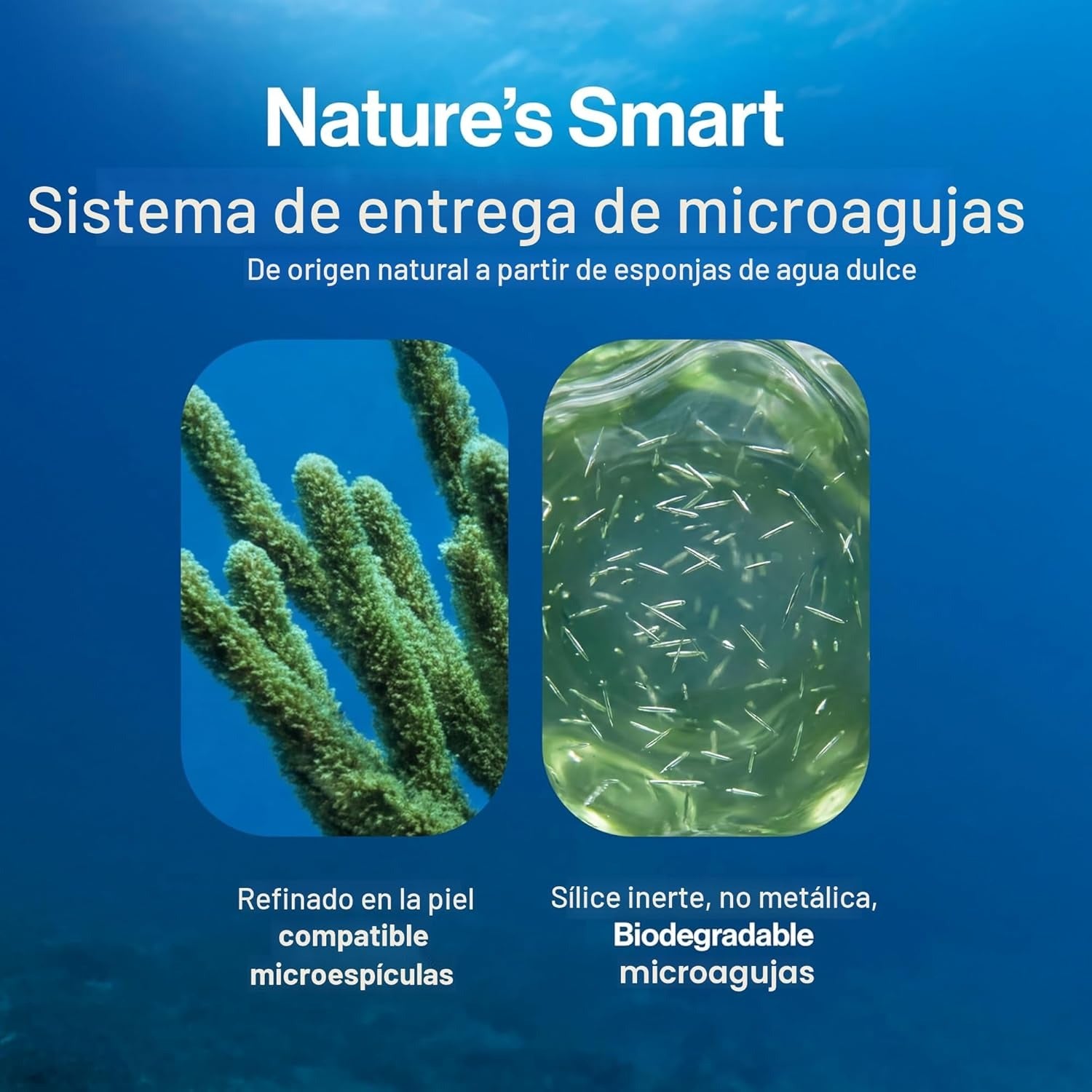 🌿Sérum Capilar Be Bodywise Con Romero - Cuida tu cabello como se merece