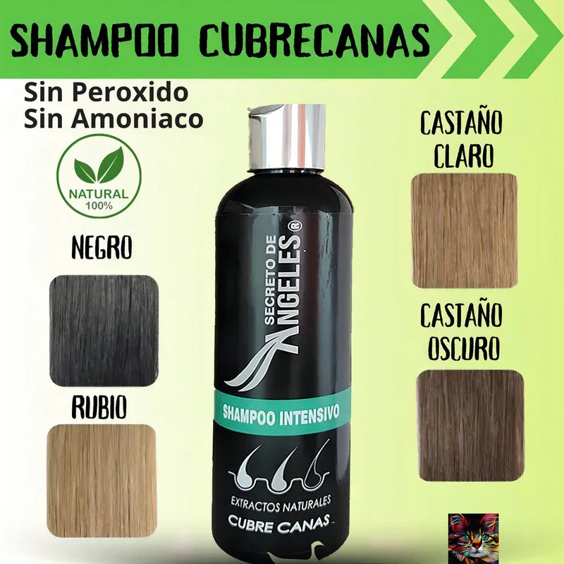 ⭐ Shampoo cubrecanas secreto de angeles -  La rutina diaria que devuelve la confianza