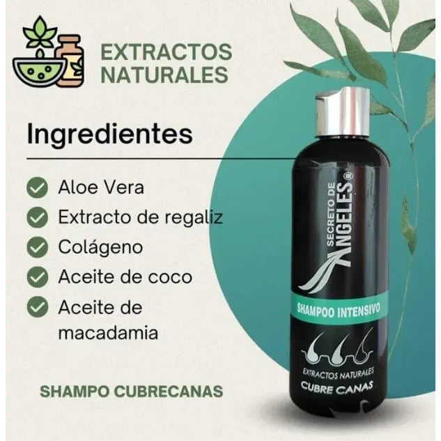 ⭐ Shampoo cubrecanas secreto de angeles -  La rutina diaria que devuelve la confianza