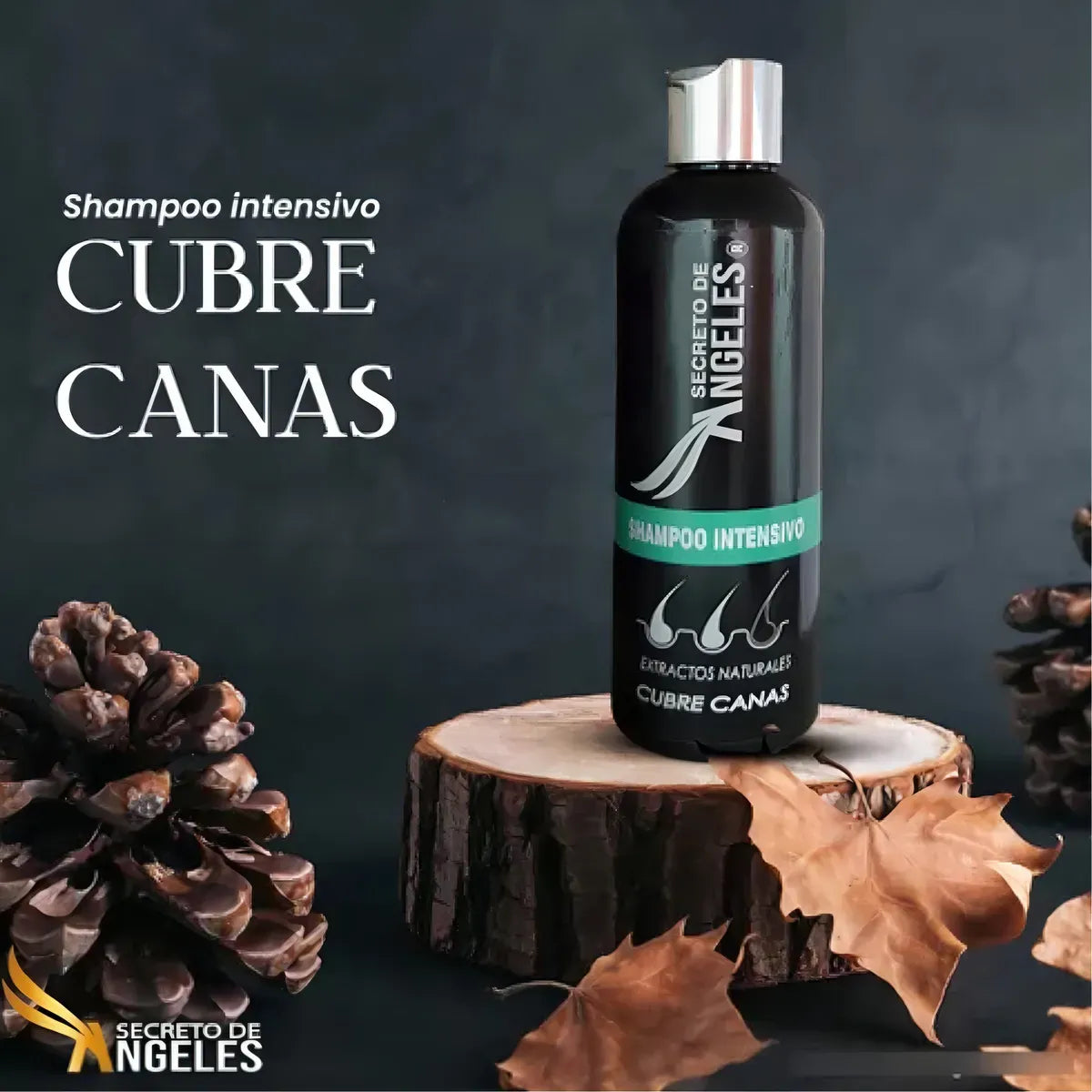 ⭐ Shampoo cubrecanas secreto de angeles -  La rutina diaria que devuelve la confianza